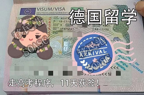 德国高考 11天获签